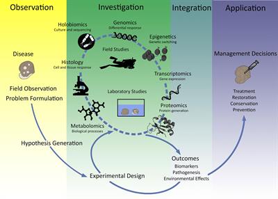 Advances in coral immunity ‘omics in response to disease outbreaks